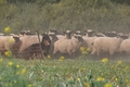 AAH Bundeshüten 2014 / Bild 53 von 175 / 20.09.2014 14:58 / DSC_4293.JPG