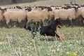 AAH Bundeshüten 2014 / Bild 54 von 175 / 20.09.2014 14:58 / DSC_4302.JPG