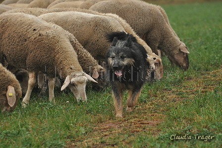 AAH Bundeshüten 2016 / Bild 2 von 163 / 17.09.2016 09:06 / DSC_0587.JPG