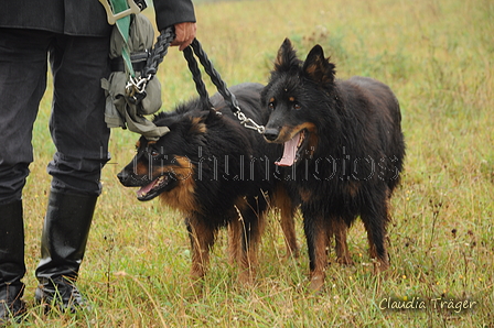 AAH Bundesh&uuml;ten 2016 / Bild 4 von 163 / 17.09.2016 09:57 / DSC_4410.JPG