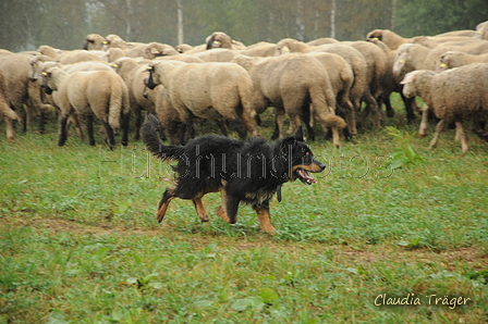 AAH Bundeshüten 2016 / Bild 7 von 163 / 17.09.2016 13:09 / DSC_4665.JPG