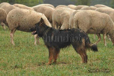 AAH Bundesh&uuml;ten 2016 / Bild 11 von 163 / 17.09.2016 13:24 / DSC_1042.JPG