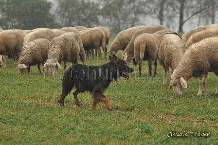 AAH Bundeshüten 2016 / Bild 13 von 163 / 17.09.2016 13:31 / DSC_1140.JPG