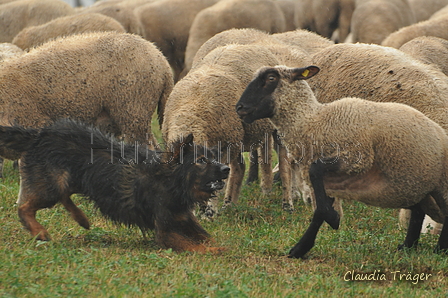 AAH Bundeshüten 2016 / Bild 14 von 163 / 17.09.2016 13:32 / DSC_1153.JPG