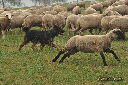 AAH Bundesh&uuml;ten 2016 / Bild 15 von 163 / 17.09.2016 13:32 / DSC_1159.JPG