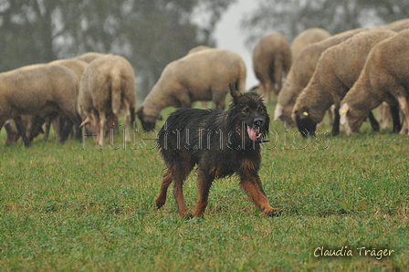 AAH Bundeshüten 2016 / Bild 16 von 163 / 17.09.2016 13:33 / DSC_1179.JPG