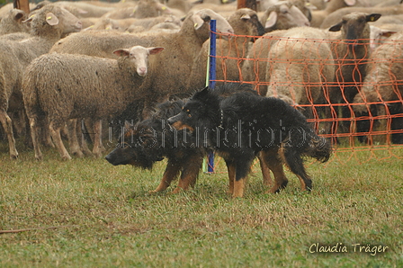 AAH Bundesh&uuml;ten 2016 / Bild 17 von 163 / 17.09.2016 13:42 / DSC_1287.JPG