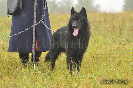 AAH Bundesh&uuml;ten 2016 / Bild 18 von 163 / 17.09.2016 13:52 / DSC_1331.JPG