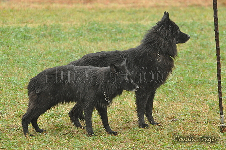 AAH Bundesh&uuml;ten 2016 / Bild 20 von 163 / 17.09.2016 14:13 / DSC_1387.JPG