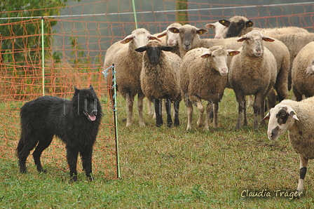 AAH Bundeshüten 2016 / Bild 21 von 163 / 17.09.2016 14:14 / DSC_1413.JPG