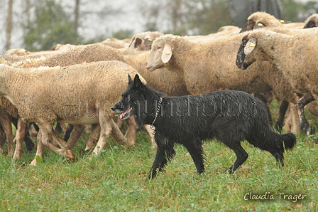 AAH Bundeshüten 2016 / Bild 22 von 163 / 17.09.2016 14:20 / DSC_1513.JPG