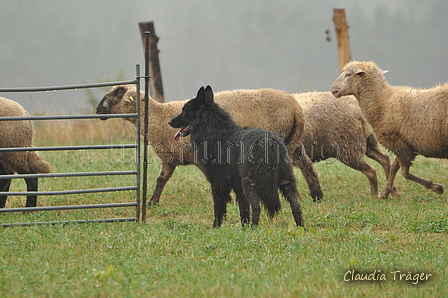 AAH Bundeshüten 2016 / Bild 23 von 163 / 17.09.2016 14:27 / DSC_1651.JPG