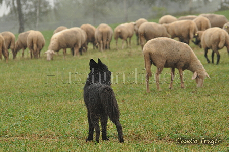 AAH Bundeshüten 2016 / Bild 26 von 163 / 17.09.2016 14:38 / DSC_1882.JPG