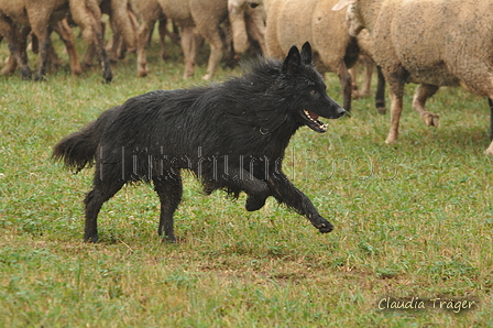 AAH Bundeshüten 2016 / Bild 27 von 163 / 17.09.2016 14:42 / DSC_1957.JPG