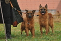 AAH Bundeshüten 2016 / Bild 29 von 163 / 17.09.2016 15:09 / DSC_2093.JPG