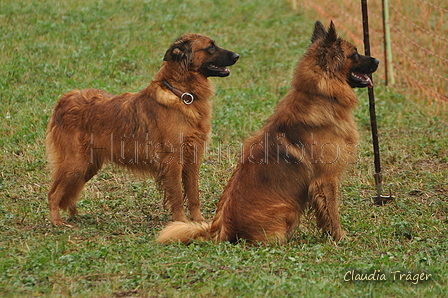 AAH Bundeshüten 2016 / Bild 31 von 163 / 17.09.2016 15:14 / DSC_2140.JPG