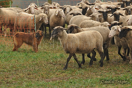 AAH Bundeshüten 2016 / Bild 32 von 163 / 17.09.2016 15:17 / DSC_2176.JPG