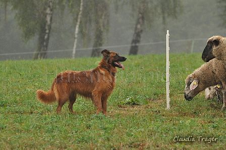 AAH Bundeshüten 2016 / Bild 35 von 163 / 17.09.2016 15:29 / DSC_2462.JPG