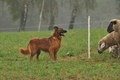 AAH Bundeshüten 2016 / Bild 35 von 163 / 17.09.2016 15:29 / DSC_2462.JPG