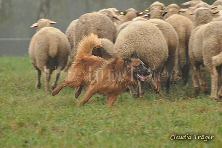 AAH Bundeshüten 2016 / Bild 36 von 163 / 17.09.2016 15:32 / DSC_2497.JPG