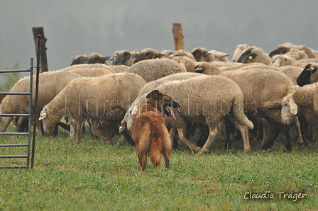 AAH Bundeshüten 2016 / Bild 42 von 163 / 17.09.2016 15:38 / DSC_2599.JPG