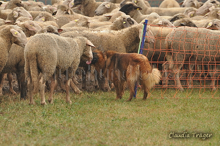 AAH Bundeshüten 2016 / Bild 47 von 163 / 17.09.2016 15:57 / DSC_2895.JPG