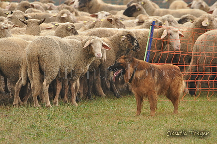 AAH Bundeshüten 2016 / Bild 48 von 163 / 17.09.2016 15:57 / DSC_2903.JPG