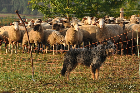 AAH Bundeshüten 2016 / Bild 53 von 163 / 18.09.2016 08:31 / DSC_3265.JPG