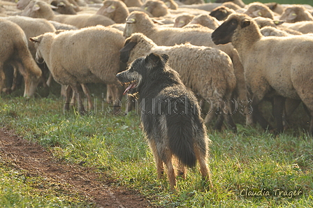 AAH Bundeshüten 2016 / Bild 55 von 163 / 18.09.2016 08:36 / DSC_3345.JPG