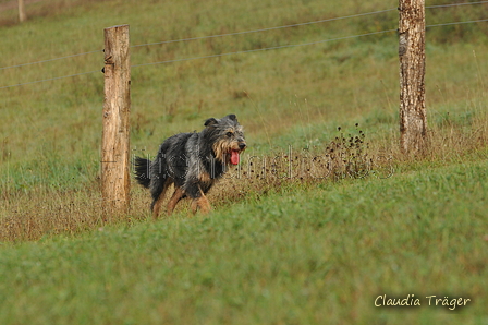 AAH Bundeshüten 2016 / Bild 57 von 163 / 18.09.2016 08:42 / DSC_3448.JPG