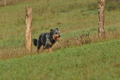 AAH Bundeshüten 2016 / Bild 57 von 163 / 18.09.2016 08:42 / DSC_3448.JPG