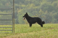 AAH Bundeshüten 2016 / Bild 71 von 163 / 18.09.2016 09:21 / DSC_3901.JPG