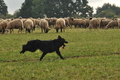 AAH Bundeshüten 2016 / Bild 72 von 163 / 18.09.2016 09:22 / DSC_3924.JPG