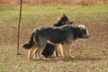 AAH Bundeshüten 2016 / Bild 114 von 163 / 18.09.2016 10:39 / DSC_4807.JPG