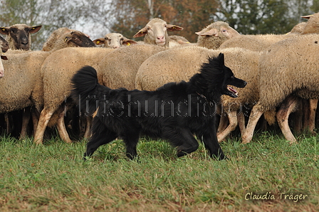 AAH Bundeshüten 2016 / Bild 122 von 163 / 18.09.2016 11:31 / DSC_5267.JPG