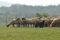 AAH Bundeshüten 2016 / Bild 123 von 163 / 18.09.2016 11:36 / DSC_5331.JPG