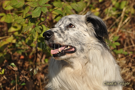 AAH Bundeshüten 2016 / Bild 127 von 163 / 18.09.2016 12:31 / DSC_5733.JPG