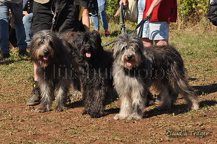 AAH Bundeshüten 2016 / Bild 129 von 163 / 18.09.2016 12:33 / DSC_5770.JPG