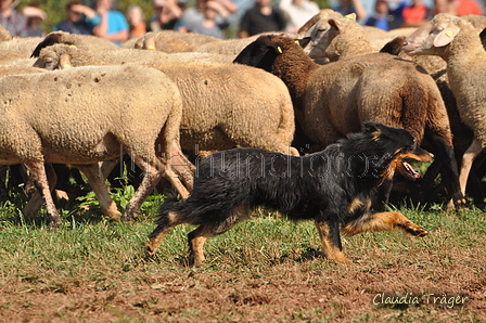 AAH Bundeshüten 2016 / Bild 140 von 163 / 18.09.2016 13:35 / DSC_6310.JPG