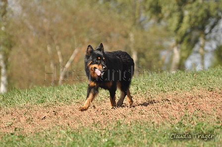 AAH Bundeshüten 2016 / Bild 141 von 163 / 18.09.2016 13:39 / DSC_6371.JPG