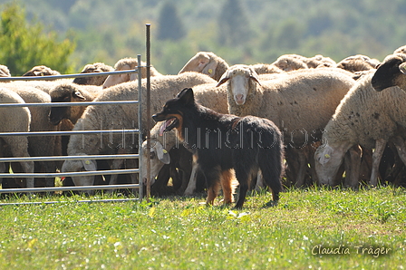 AAH Bundeshüten 2016 / Bild 144 von 163 / 18.09.2016 13:43 / DSC_6522.JPG