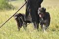 AAH Bundeshüten 2016 / Bild 149 von 163 / 18.09.2016 14:07 / DSC_6794.JPG