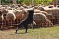 AAH Bundeshüten 2016 / Bild 150 von 163 / 18.09.2016 14:39 / DSC_6881.JPG