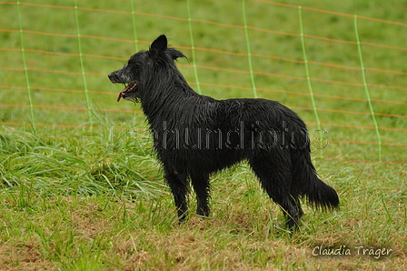 AAH Bundeshüten 2017 / Bild 4 von 352 / 09.09.2017 09:11 / DSC_9612.JPG