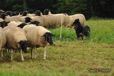 AAH Bundeshüten 2017 / Bild 8 von 352 / 09.09.2017 10:12 / DSC_9851.JPG