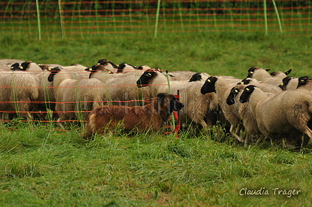 AAH Bundeshüten 2017 / Bild 10 von 352 / 09.09.2017 10:21 / DSC_9920.JPG