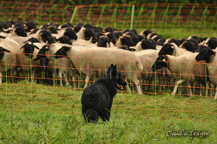 AAH Bundeshüten 2017 / Bild 11 von 352 / 09.09.2017 10:48 / DSC_0021.JPG