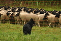 AAH Bundeshüten 2017 / Bild 11 von 352 / 09.09.2017 10:48 / DSC_0021.JPG