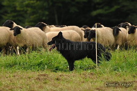 AAH Bundeshüten 2017 / Bild 15 von 352 / 09.09.2017 11:24 / DSC_0222.JPG