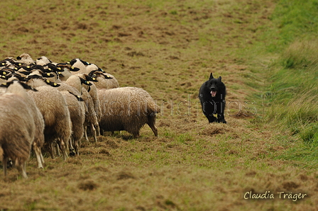 AAH Bundeshüten 2017 / Bild 19 von 352 / 09.09.2017 11:27 / DSC_0295.JPG